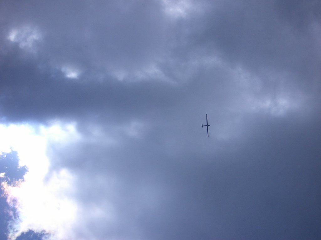 CIMG7131.JPG