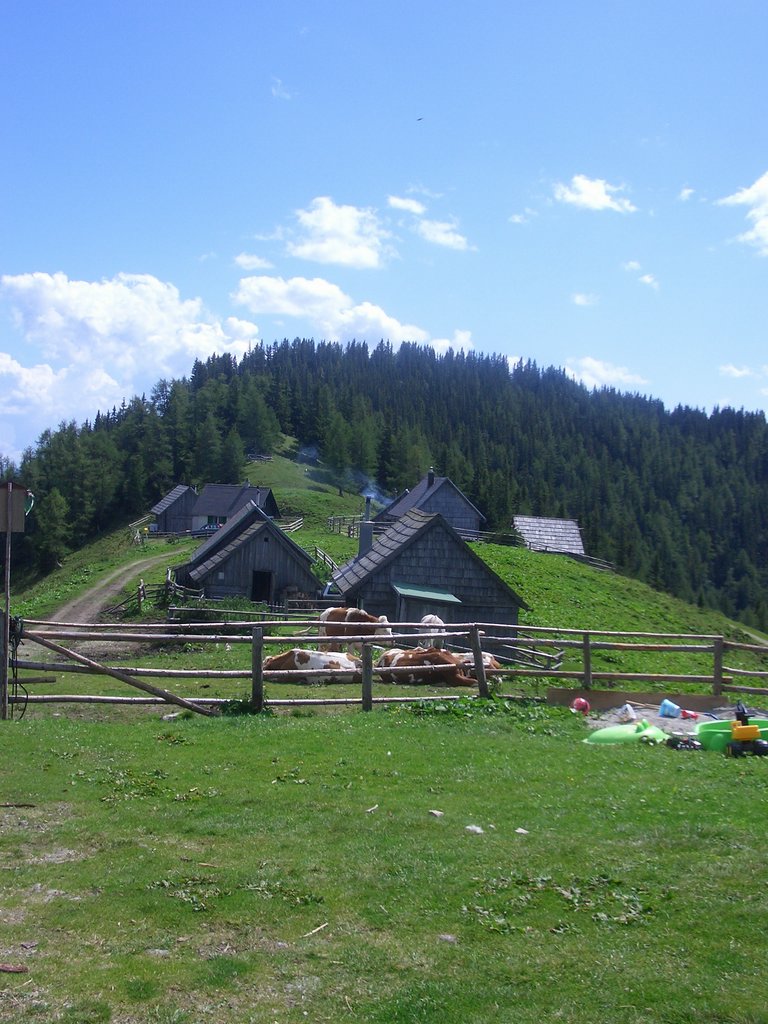 CIMG7155.JPG