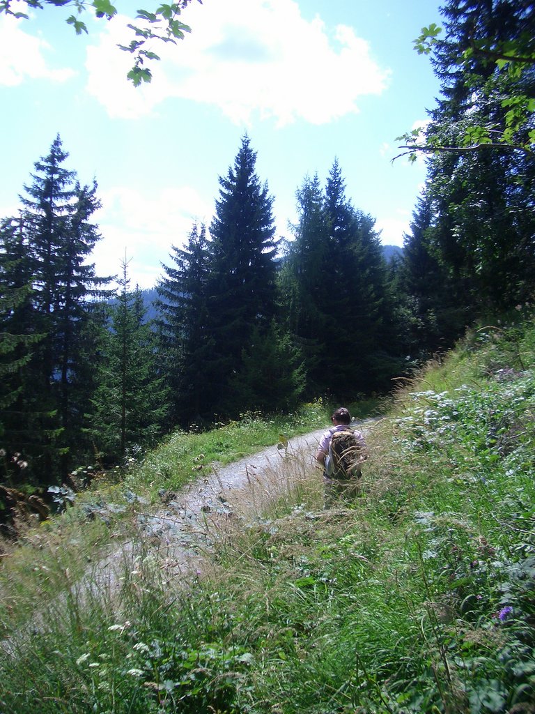 CIMG7162.JPG