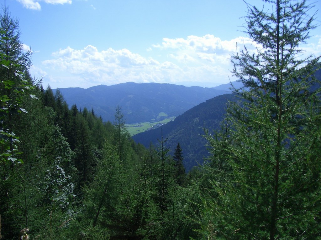 CIMG7164.JPG