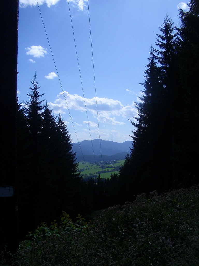 CIMG7171.JPG