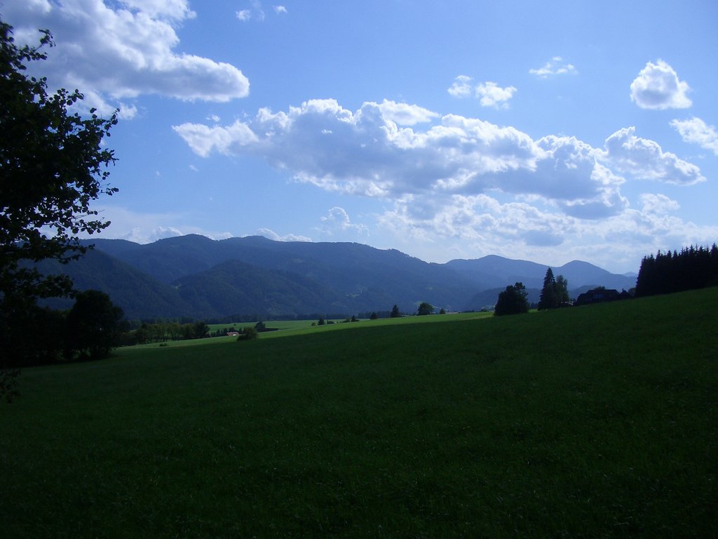 CIMG7174.JPG