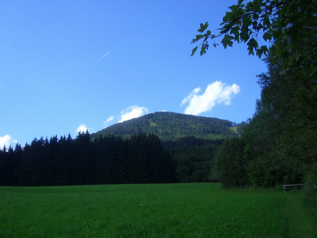 CIMG7175.JPG