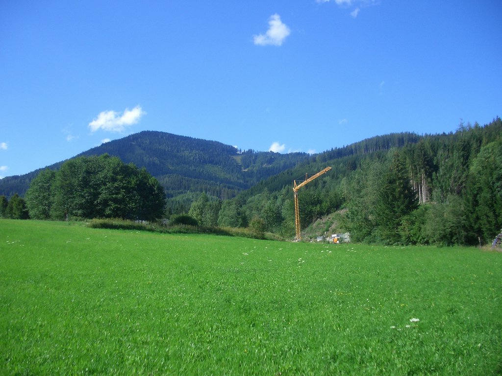 CIMG7183.JPG