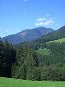 CIMG7068.JPG