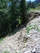 CIMG7096.JPG
