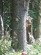 CIMG7098.JPG