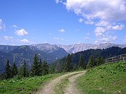 CIMG7108.JPG