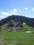 CIMG7155.JPG
