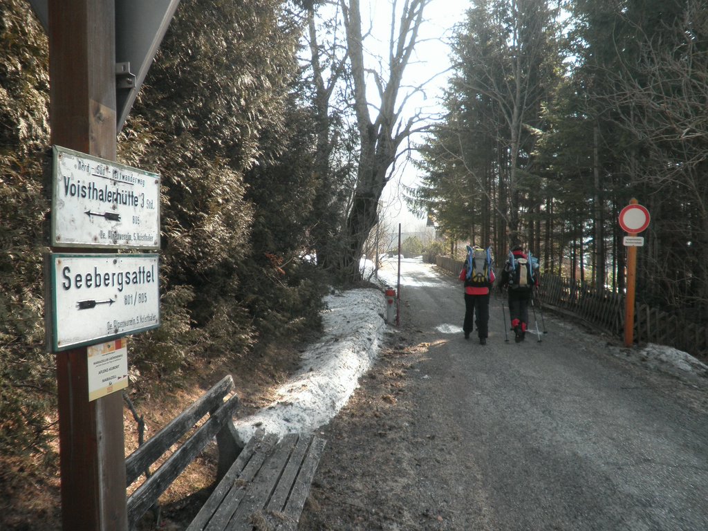 P3120005.JPG