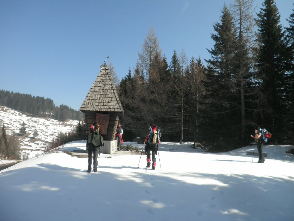 P3120009.JPG