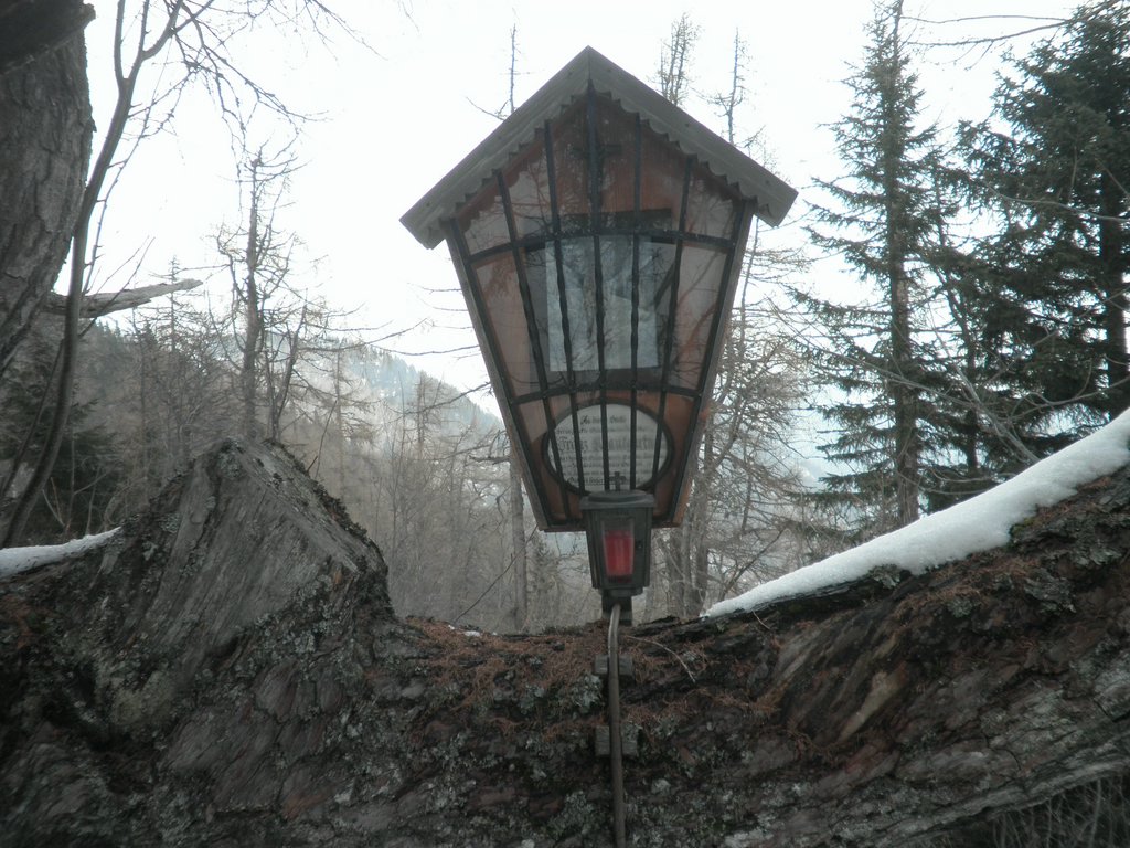 P3120043.JPG