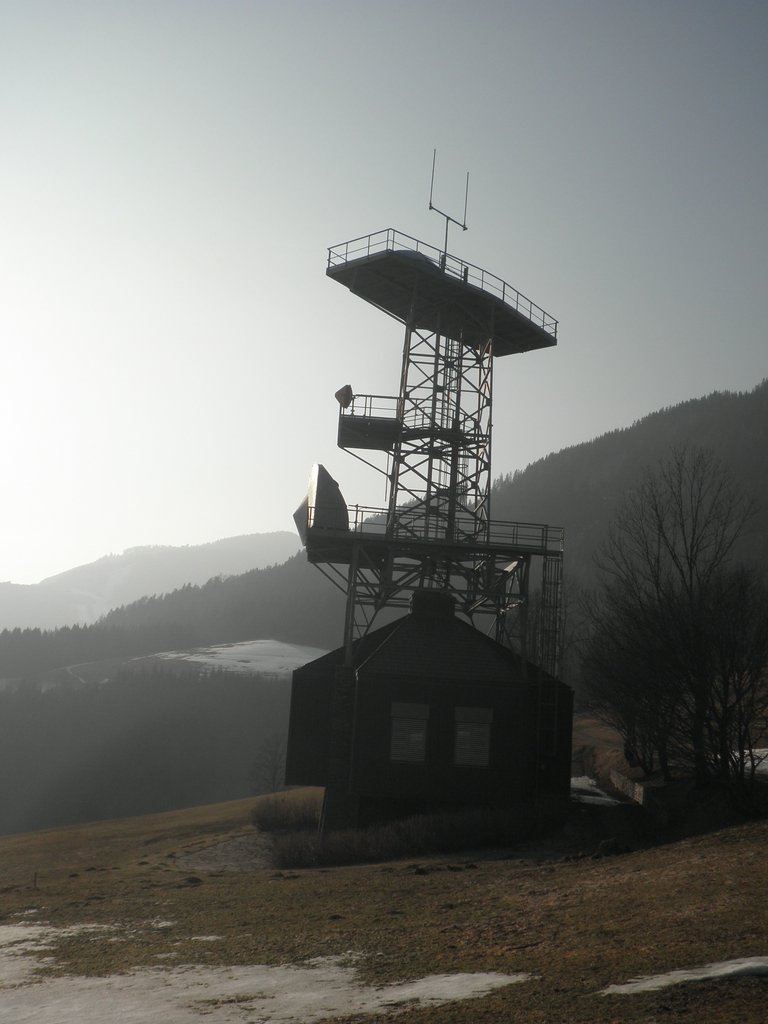 P3120050.JPG