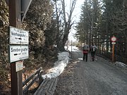 P3120005.JPG