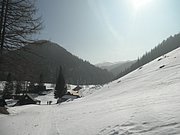 P3120017.JPG