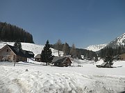 P3120018.JPG