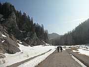 P3120019.JPG