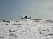 P3120026.JPG