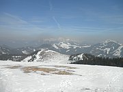 P3120029.JPG