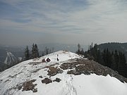 P3120039.JPG