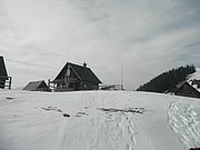 P3120040.JPG