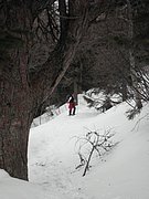 P3120042.JPG