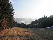 P3120051.JPG