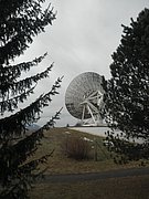 P3130070.JPG