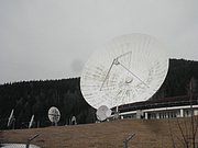 P3130073.JPG