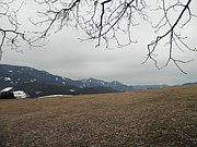 P3130080.JPG