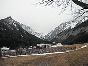 P3130081.JPG