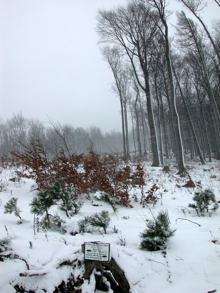 DSCN4068.JPG