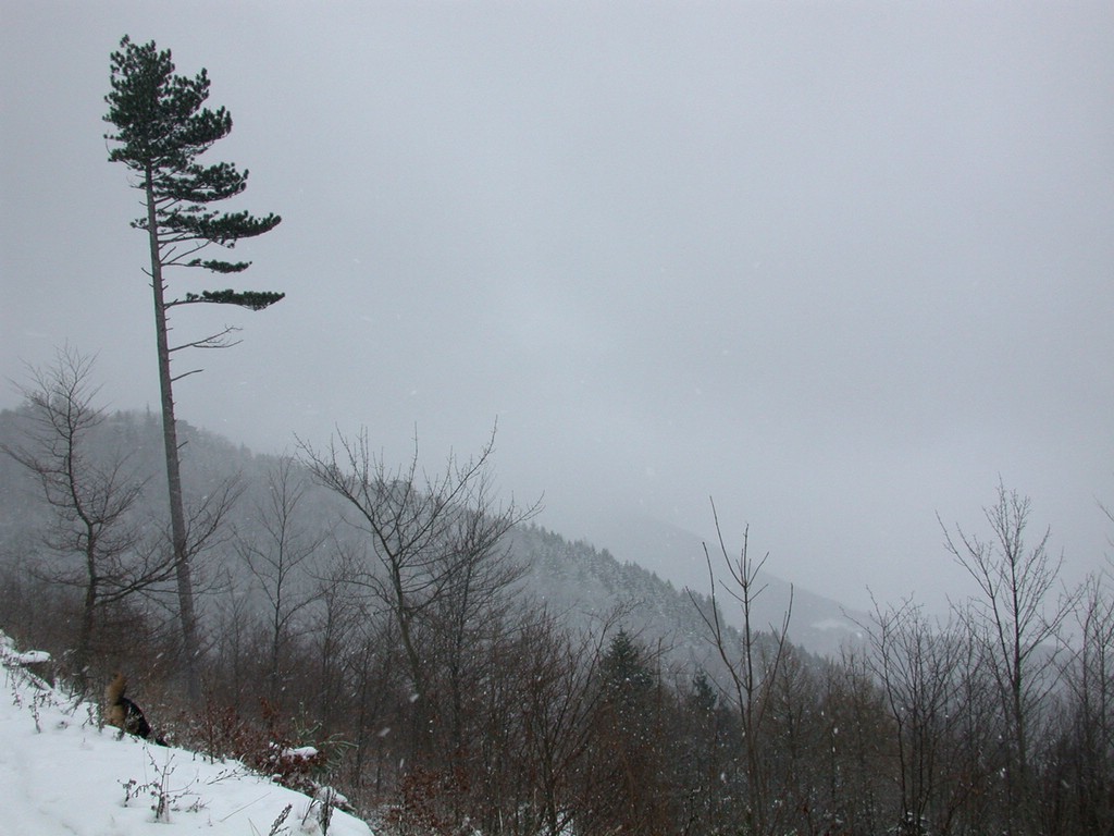 DSCN4070.JPG