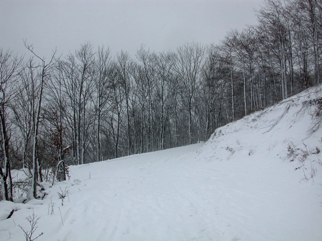 DSCN4071.JPG