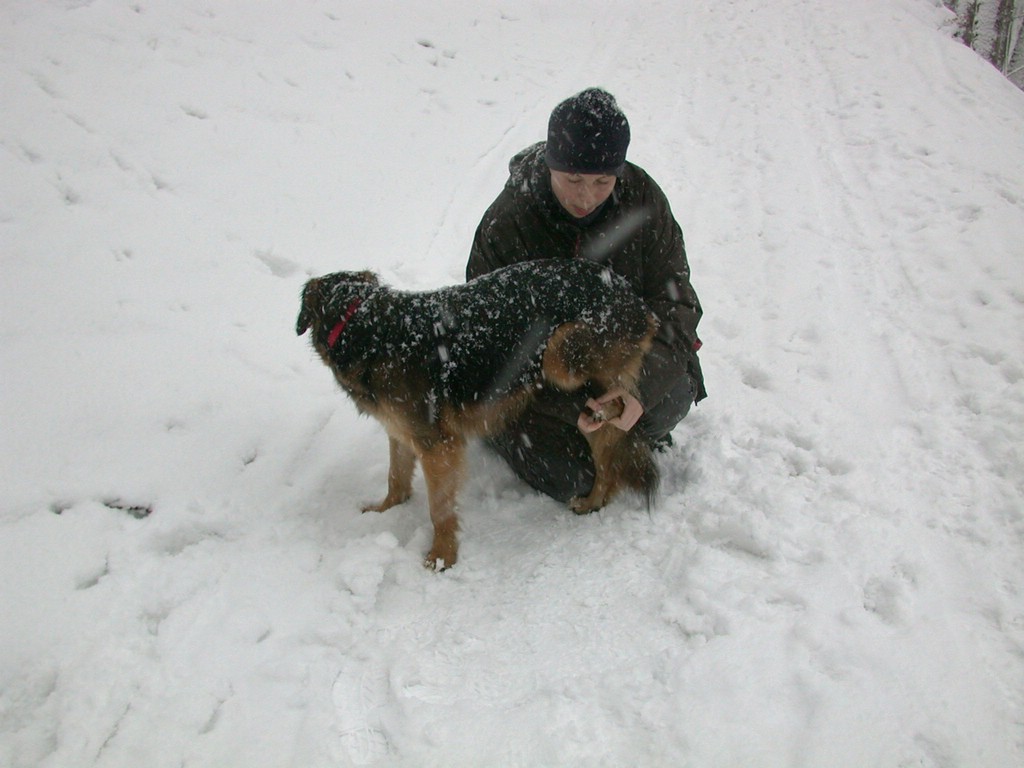 DSCN4072.JPG