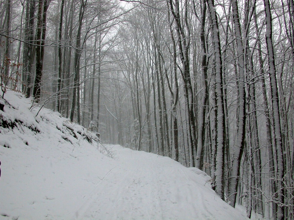 DSCN4073.JPG