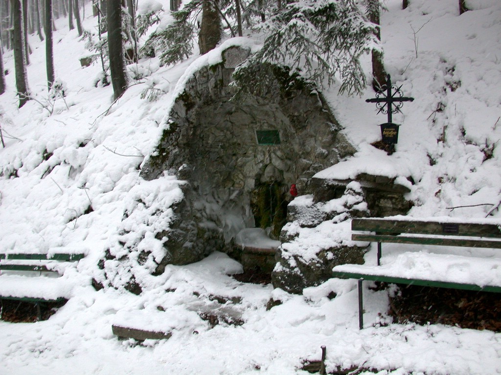 DSCN4077.JPG