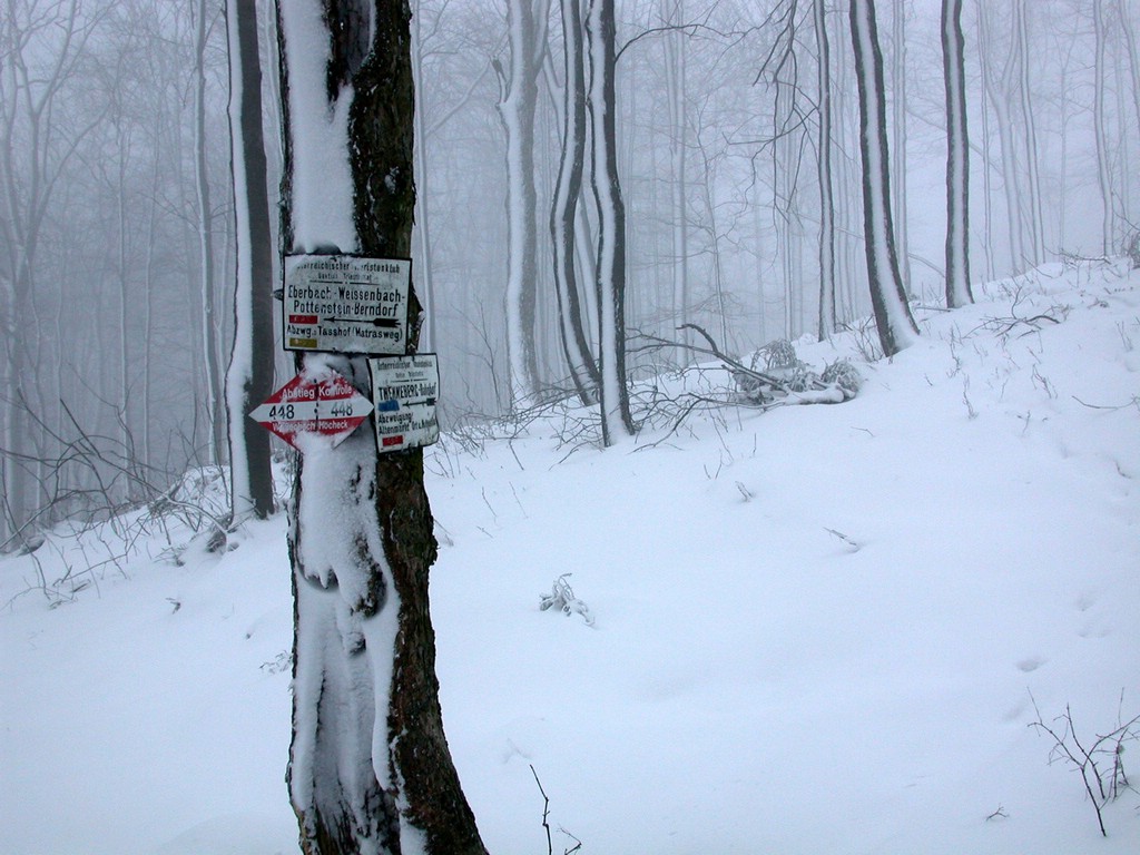 DSCN4078.JPG