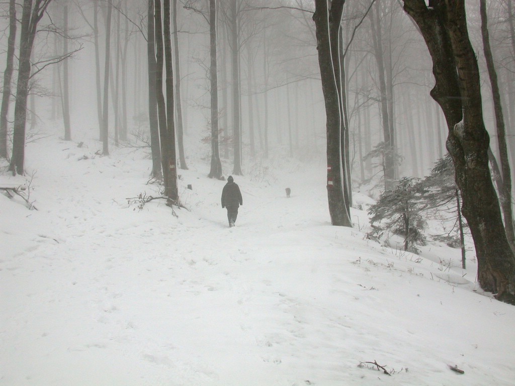 DSCN4079.JPG