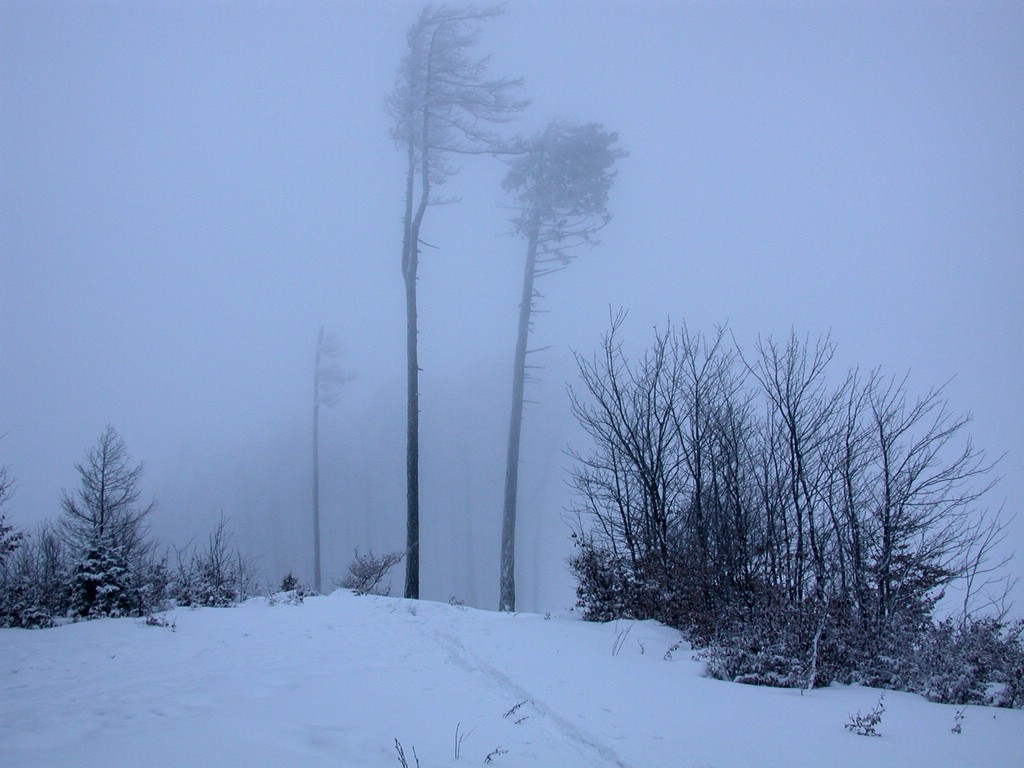 DSCN4080.JPG