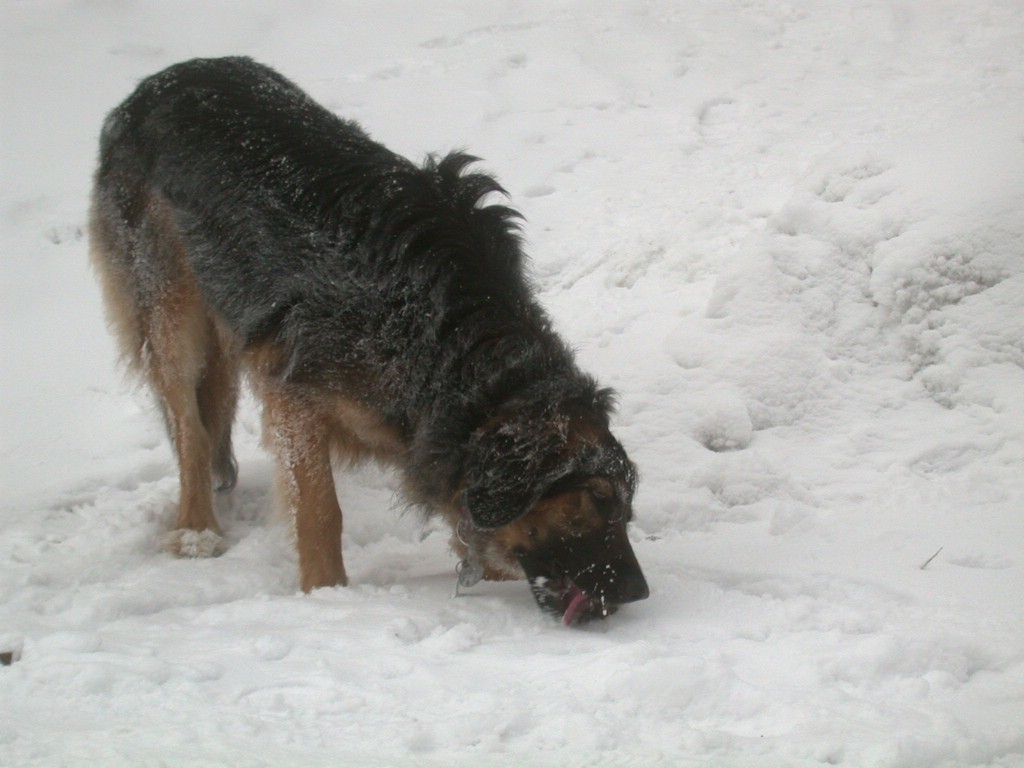 DSCN4083.JPG