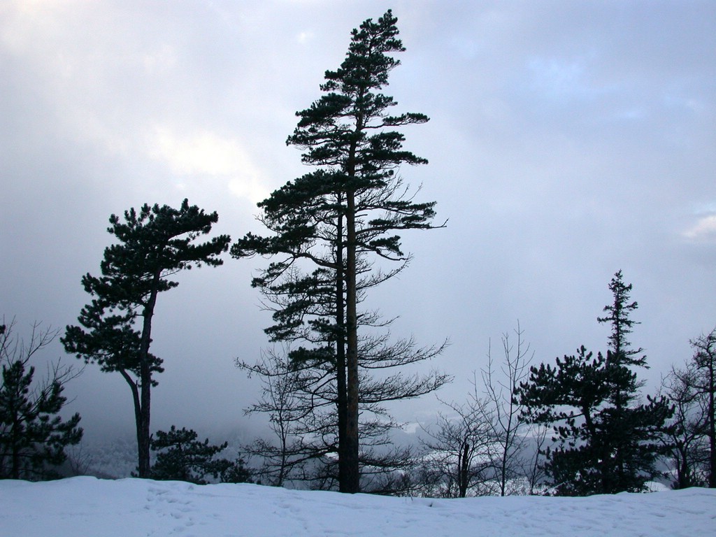 DSCN4087.JPG