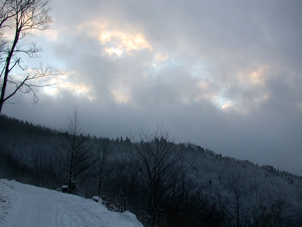 DSCN4091.JPG