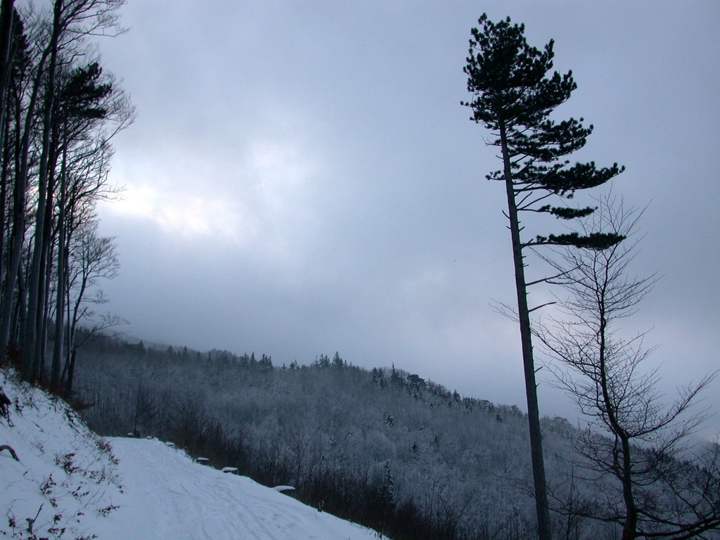 DSCN4092.JPG