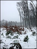 DSCN4068.JPG