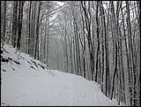 DSCN4073.JPG