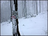 DSCN4078.JPG