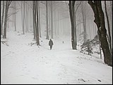 DSCN4079.JPG