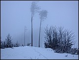 DSCN4080.JPG