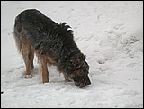 DSCN4083.JPG